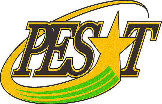 Logo PESAT